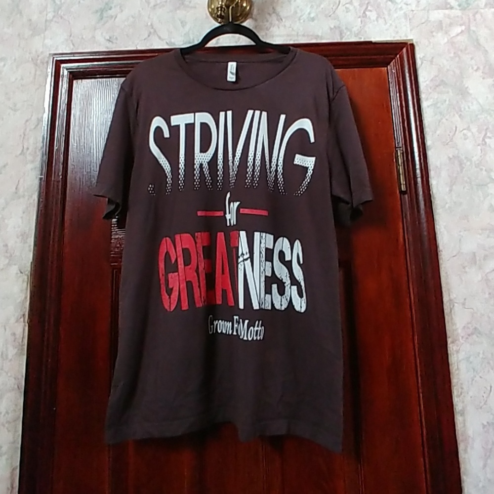 Striving for Greatness Men's T-shirt